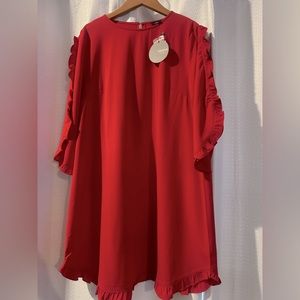 NWT. Women’s large long sleeved dress.